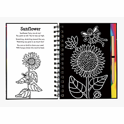 Scratch & Sketch Garden Fairies (Trace-Along)