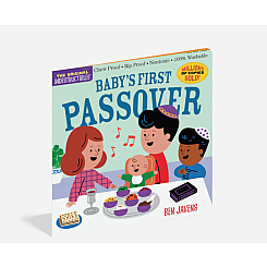 Baby's First Passover Indestructible Book