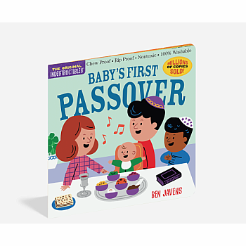 Baby's First Passover Indestructible Book