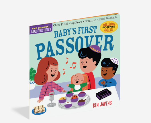 Baby's First Passover Indestructible Book