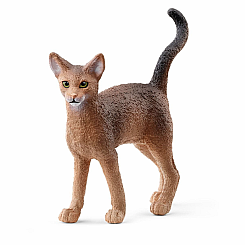 ABYSSINIAN CAT