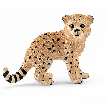Cheetah Baby