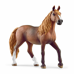 Peruvian Paso Mare