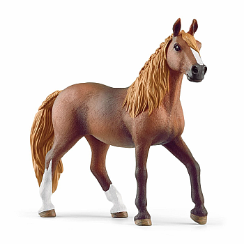 Peruvian Paso Mare