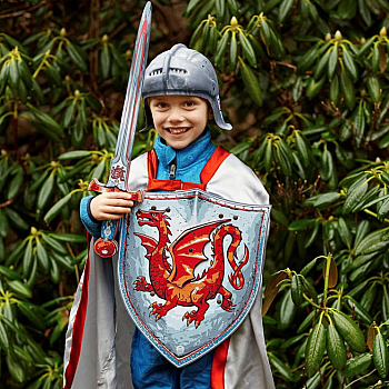 Liontouch Pretend-Play Dress Up Costume Amber Dragon Knight Shield