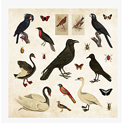 Mystical Ephemera! An Enchanting Vintage Sticker Book (over 900 stickers)