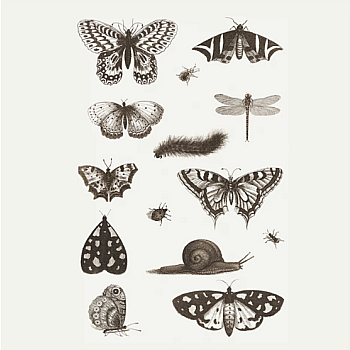NGA INSECTS TATTOO SHEET