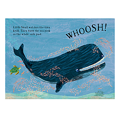 LITTLE TURTLES BK OF BLUE BB