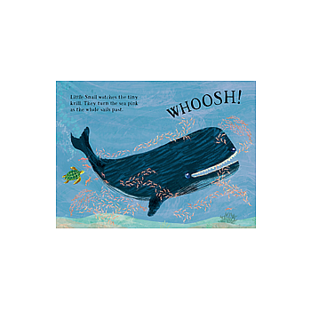 LITTLE TURTLES BK OF BLUE BB