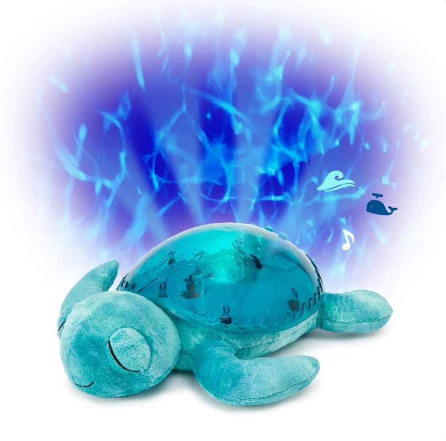Tranquil Turtle Aqua | Cloud B PJM