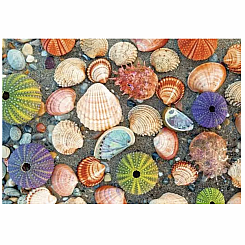 300 SEASHORE PUZZLE MOMENTS