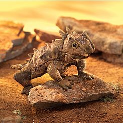 Horned Lizard Puppet