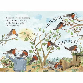 LITTLE ROBINS BK OF BIRDS BB