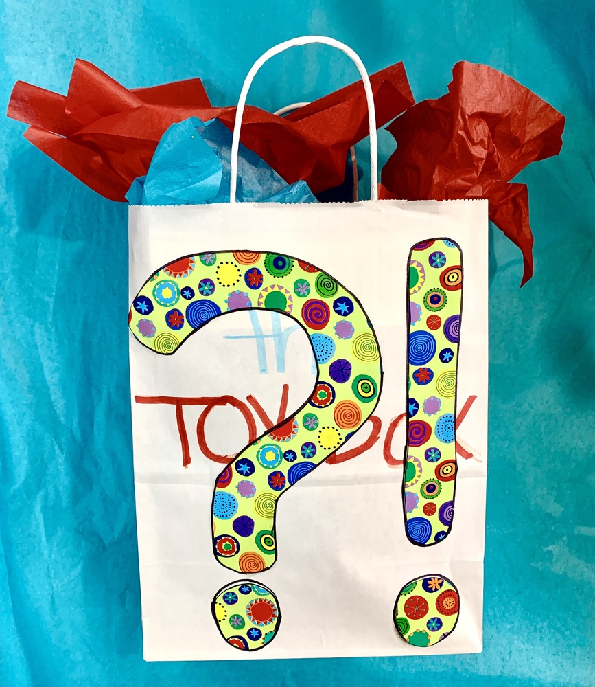 100 MYSTERY BAG The Toy Box