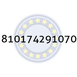 810174291070