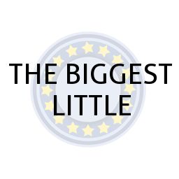 THE BIGGEST LITTLE
