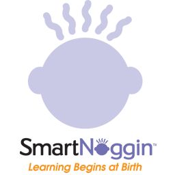 SMART NOGGIN TOYS